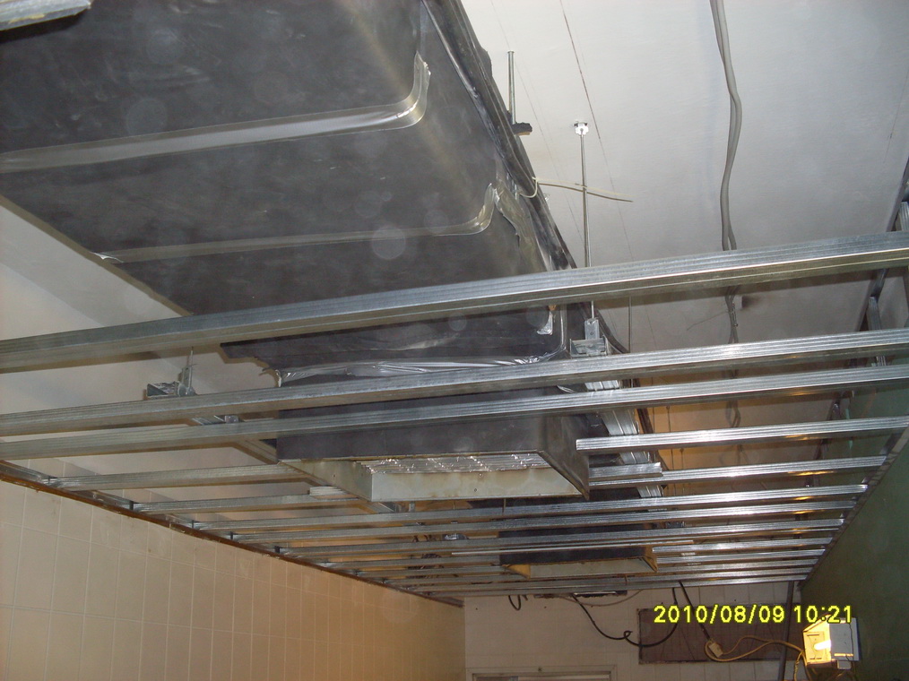 Richter_2010 019_resize.jpg